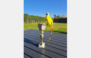 TIR A L'OISEAU et REMISE RECOMPENSES - 05/04/2025