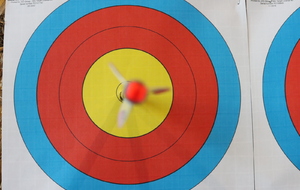 Compétition Salle Ambarès - 15 et 16 Novembre 2025