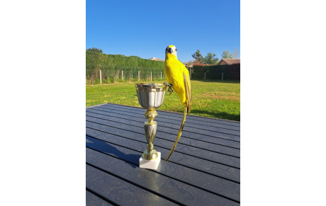 TIR A L'OISEAU et REMISE RECOMPENSES - 05/04/2025